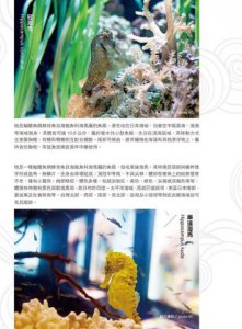 瘋狂的海馬：上帝在創造牠的時候，應該是喝醉了……  圖片 4