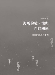 瘋狂的海馬：上帝在創造牠的時候，應該是喝醉了……  圖片 5