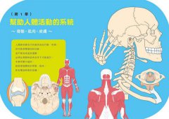 法醫才看得到的人體奧祕 圖片 2