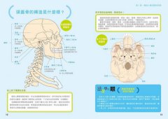 法醫才看得到的人體奧祕 圖片 4