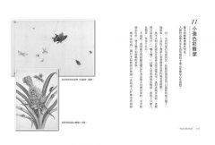 一隻特立獨行的豬:穿梭文明、自然與野性間的藝文奇想 圖片 9