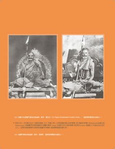瑜伽之心：個人化的身心靈專屬修練 圖片 6