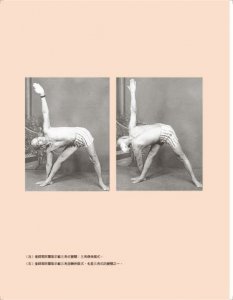 瑜伽之心：個人化的身心靈專屬修練 圖片 10