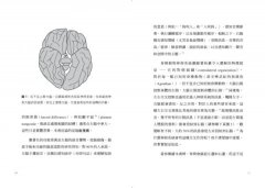 大腦側效應：秀左臉，向右轉？左右我們行為偏好的祕密 圖片 4