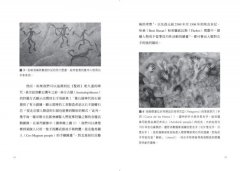 大腦側效應：秀左臉，向右轉？左右我們行為偏好的祕密 圖片 7
