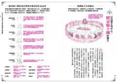 亞瑟王傳說解剖圖鑑 圖片 10