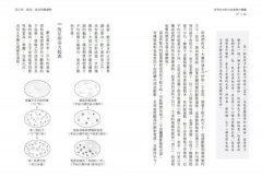 世界史中的小故事與大變遷：以「大歷史」的宏觀角度，重新看待宇宙、世界與人類 圖片 6