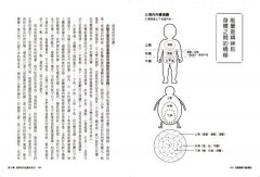 兒童健康中醫講堂：結合三焦能量觀及西方心理學，奠定孩子的好體質 圖片 7