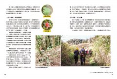 【夢幻步道系列1・全方位工具箱】手作步道：達人帶路，體驗人與自然的雙向療癒（暢銷經典版） 圖片 5