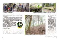 【夢幻步道系列1・全方位工具箱】手作步道：達人帶路，體驗人與自然的雙向療癒（暢銷經典版） 圖片 8