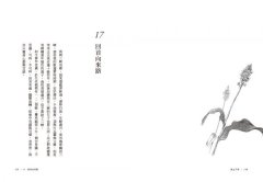 無土不神：野花草與小小鄰・心靈微觀34帖 圖片 8