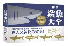世界鯊魚大全：手繪125種史上最齊全鯊魚圖鑑 圖片 1