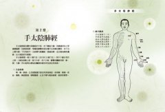 一手即點超簡單，全身穴位雙圖解大全：最簡便的養生調理法，輔助改善各種病症與痠痛 圖片 3