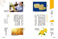 日本經典和色250選：透過京都色彩職人視角，深度體會和色之美，啟發你的創作與配色靈感 圖片 5