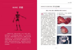 妮可病理解剖書【18禁】：一本病變影像實錄，還有關於切開後的那些故事…… 圖片 3