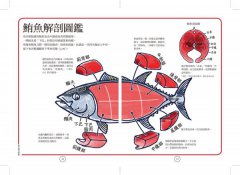 圖解壽司辭典  圖片 4