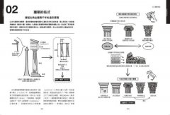 認識建築思想【超‧圖‧解】：建築知識再進化，8年濃縮精煉，更簡明更易懂，用最短距離，圖解關鍵思潮&名家 圖片 3