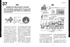 認識建築思想【超‧圖‧解】：建築知識再進化，8年濃縮精煉，更簡明更易懂，用最短距離，圖解關鍵思潮&名家 圖片 7