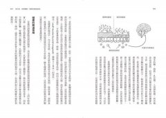 腸道．腸道菌與人體免疫：餵飽你的腸道菌，就能提高免疫力改善身心健康 圖片 4