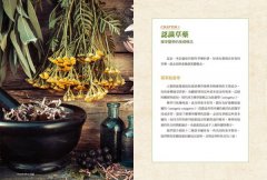 現代藥草調製指南：藥草師必備的居家調配聖經，包括草藥配方原理、製劑原則及230種藥草檔案 圖片 2