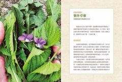 現代藥草調製指南：藥草師必備的居家調配聖經，包括草藥配方原理、製劑原則及230種藥草檔案 圖片 4