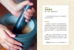 現代藥草調製指南：藥草師必備的居家調配聖經，包括草藥配方原理、製劑原則及230種藥草檔案 圖片 6