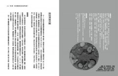 在人類世遇見真菌：菌絲體的12堂生命課  圖片 5