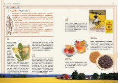 美食祕境【大快朵頤精裝版】：用味蕾品嘗全世界！500道歷史、文化、旅行、慶典佳餚驚喜上菜 圖片 2