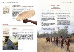 美食祕境【大快朵頤精裝版】：用味蕾品嘗全世界！500道歷史、文化、旅行、慶典佳餚驚喜上菜 圖片 5