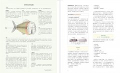 料理的科學：好廚藝必備百科全書，完整收錄50個烹調原理與密技 圖片 5