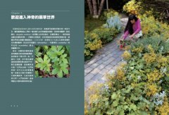 美國藥草教母的草藥生活指南：瞭解、種植及使用33種廚房香料及常見植物 圖片 3