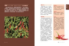 美國藥草教母的草藥生活指南：瞭解、種植及使用33種廚房香料及常見植物 圖片 5