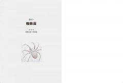 黃道18星座：古美索不達米亞失傳的占星人格學 圖片 4