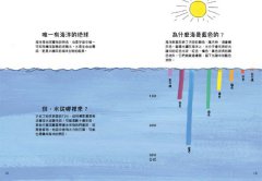 海洋解剖書（暢銷紀念版）：超過650幅海洋博物繪，帶你深入淺出，全方位探索洋流、地形、鯨豚等自然知識  圖片 5