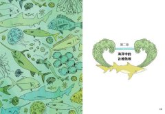 海洋解剖書（暢銷紀念版）：超過650幅海洋博物繪，帶你深入淺出，全方位探索洋流、地形、鯨豚等自然知識  圖片 6