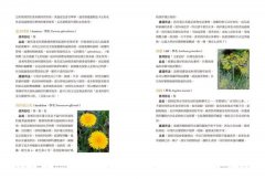 美國藥草教母的天然草藥全書：175種草藥茶、油膏、糖漿、敷劑和其他自然療法，一本歷久彌新的家庭保健指南 圖片 6