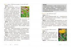 美國藥草教母的天然草藥全書：175種草藥茶、油膏、糖漿、敷劑和其他自然療法，一本歷久彌新的家庭保健指南 圖片 7