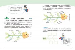 18個遊戲式任務，提升文×圖×表的閱讀整合力 圖片 8
