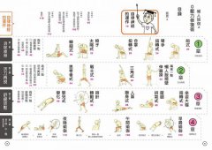 懶人瑜伽之0壓力修復：【漫畫解剖】坐臥站都能做！3分鐘調節自律神經，解救全身痠痛與壞心情 圖片 3