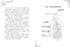 阿育吠陀原理：自我修復的科學 圖片 3