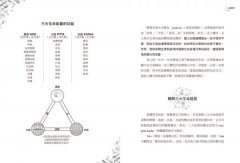 阿育吠陀原理：自我修復的科學 圖片 4