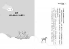 天堂沒有不快樂的毛小孩：55個真人實事，回覆你最牽掛的16個問題 圖片 3