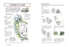 超圖解！住宅植栽造園全書：庭木造園•雜木庭園•茶庭•坪庭•針葉樹庭院•英式花園……實現日本庭屋一如的造園實作與美感關鍵 圖片 3
