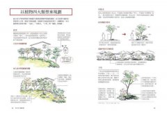 超圖解！住宅植栽造園全書：庭木造園•雜木庭園•茶庭•坪庭•針葉樹庭院•英式花園……實現日本庭屋一如的造園實作與美感關鍵 圖片 5
