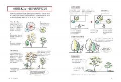 超圖解！住宅植栽造園全書：庭木造園•雜木庭園•茶庭•坪庭•針葉樹庭院•英式花園……實現日本庭屋一如的造園實作與美感關鍵 圖片 7