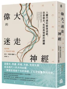 偉大的迷走神經：人體內建的修復迴路，改善發炎、免疫與情緒的關鍵 圖片 1