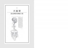 偉大的迷走神經：人體內建的修復迴路，改善發炎、免疫與情緒的關鍵 圖片 3