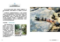 看魚：台灣第一本河溪魚類水下踏查實錄 圖片 9