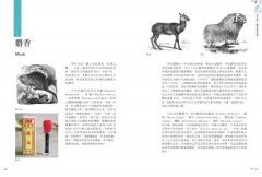 調香手記：55種天然香料萃取，玩出專屬自己的香氛創作 圖片 7